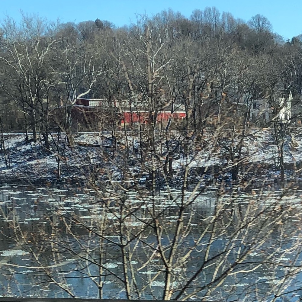 Meet your Posher, Shuli